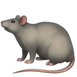 Rat illustration